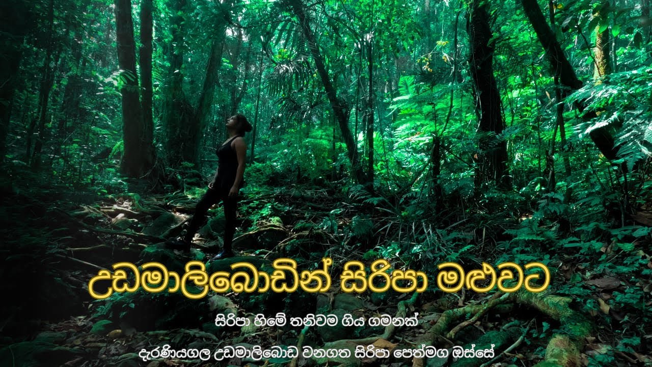 උඩමාලිබොඩින් තනිවම සිරිපා මළුවට Solo Journey to Sri Pada via Deraniyagala Uda Maliboda Trail 