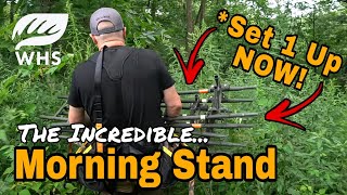 How To Set Up A Powerful Morning Stand by Whitetail Habitat Solutions 10,362 views 8 days ago 11 minutes, 38 seconds