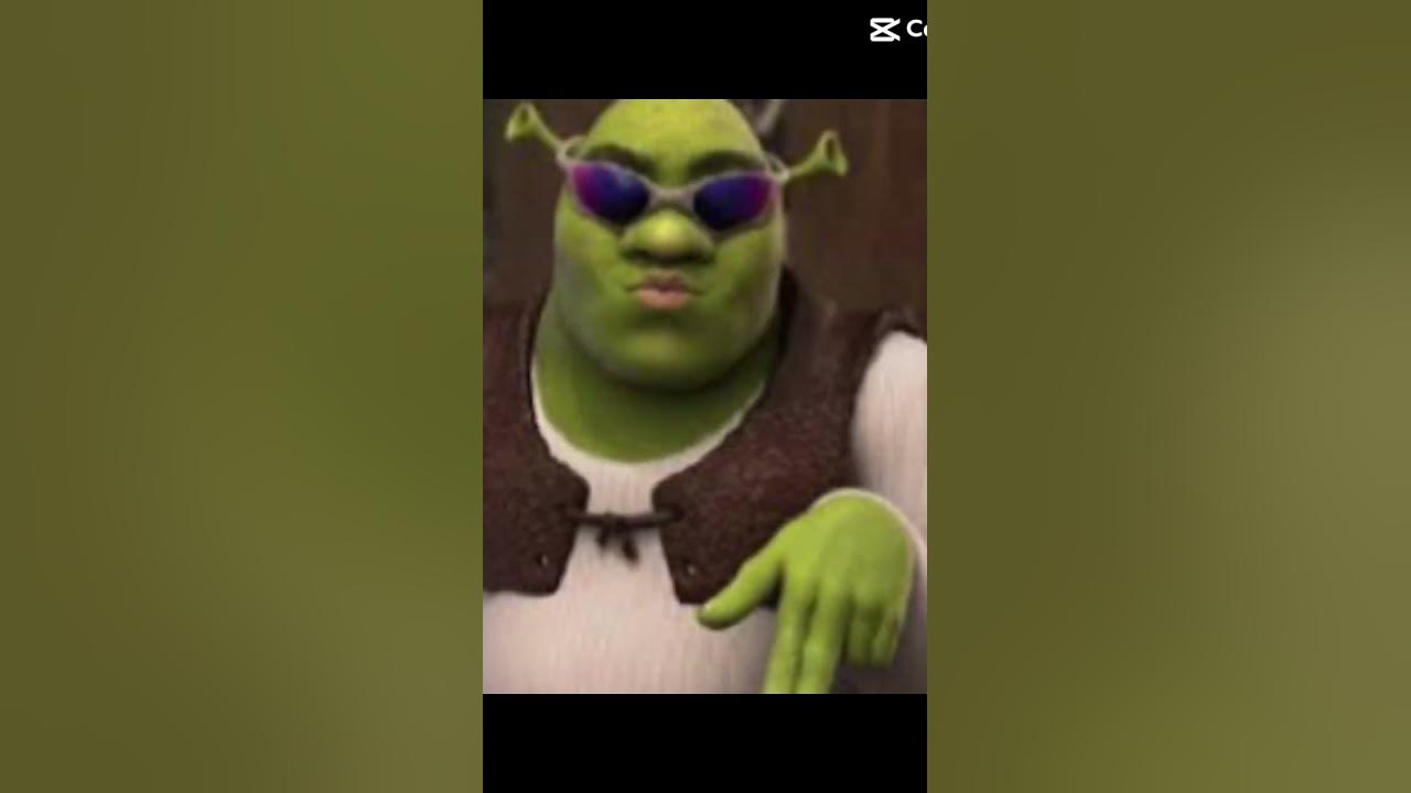 𝔻𝕣𝕚𝕡𝕡𝕪 𝕤𝕙𝕣𝕖𝕜 𝕟𝕘𝕝 💅💧💧 #funny #memes #edit #shrek - YouTube