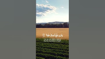 تلاوة عطرة مباركة 🌙 بصوت هادئ يريح القلب ما شاء الله من سورة الإسراء🌙