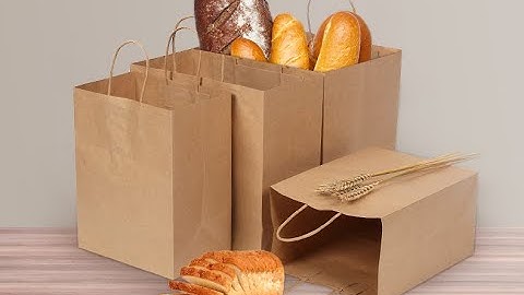 RZFD-450T square bottom paper bag machine with twisted rope handle