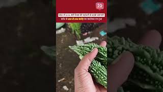 Huge resentment brewing among traders in Indore and across Madhya Pradesh!