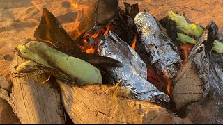 Outdoor roasting of corn ذرة بالزبدة