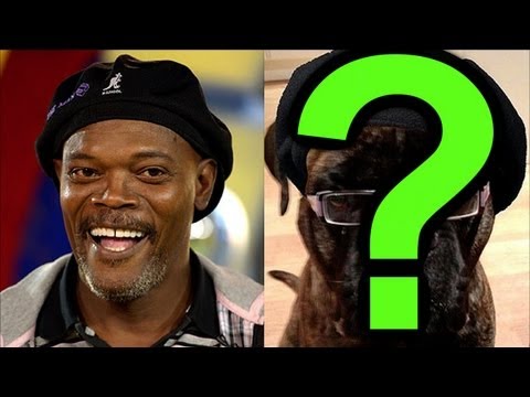 Funny Celebrity Animal Look Alikes