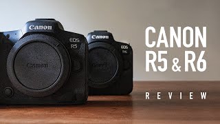 Canon R5 & R6 Review (vs Sony A7RIV vs A7III)