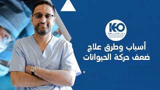 أسباب وطرق علاج ضعف حركة الحيوانات المنوية