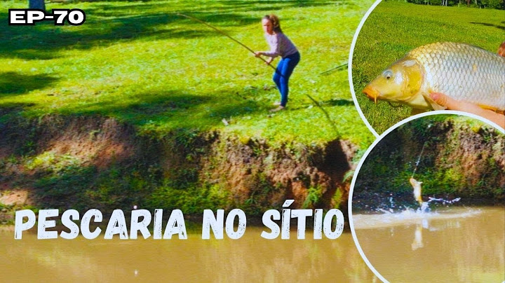UM DIA INCRÍVEL DE PESCARIA NO NOSSO SÍTIO. EP70#vidasimples #sitio