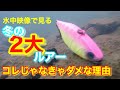 【冬のバス釣り２大ルアー解説】 なぜコレなの？なんでコレじゃなきゃダメなの？他と違うの？【水の旅＃ ２５】