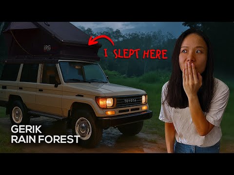 What sleeping in Gerik jungle car camping feels like. Surviving mosquitoes in my Land Cruiser ASMR