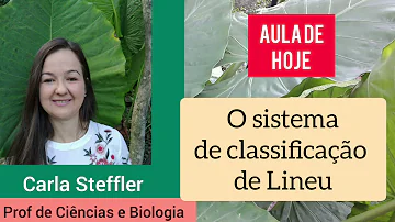 Como funciona o sistema de classificação de Lineu?