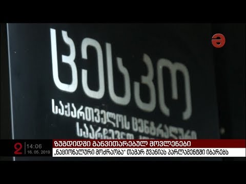 „ნაციონალური მოძრაობა“ თამარ ჟვანიას პარლამენტში იბარებს