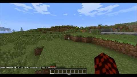 bug with tinkers construct and more health mod