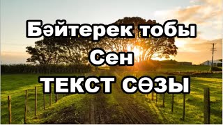 Baiterek - Sen | Бәйтерек - Сен - ТЕКСТ СӨЗЫ