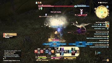 FINAL FANTASY XIV: A Realm Reborn - You Shall Not Trespass