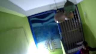 Saaa Jomider Bari Ctg