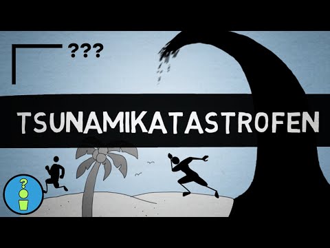 Video: Hur snabbt gick tsunamin på annandagar?