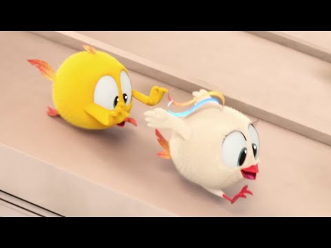 CHICKY | Где Чики? 🐥Чик! | Чики и Бекки в движении! | Лучшие серии на русском языке