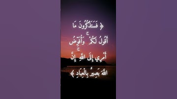 السورة: غافر القارئ: خالد الجليل الاية: 44