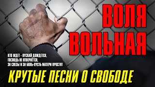 ВОЛЯ ВОЛЬНАЯ | КРУТЫЕ ПЕСНИ О СВОБОДЕ