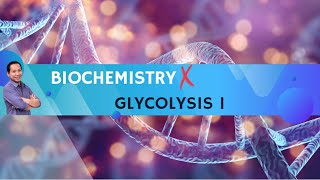 2 Glycolysis I