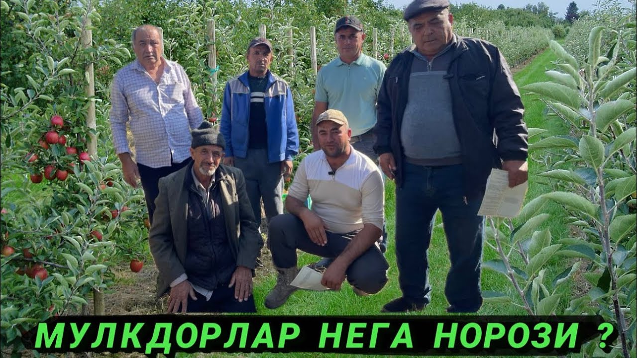 КОГОН ТУМАН ИИБ ХОДИМЛАРИНИНГ ХАТТИ ХАРАКАТИДАН МУЛКДОРЛАР   НЕГА НОРОЗИ ?