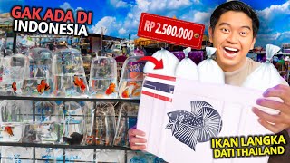 BUNGKUS IKAN LANGKA YANG CUMA ADA DI THAILAND INI KE INDONESIA! CHATUCHAK FISH MARKET!