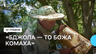 Один день з життя на пасіці