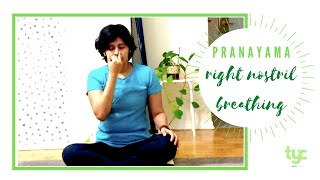 10 minutes Right Nostril Breathing | Yoga For Mind | Surya Anuloma Viloma Pranayama | TYC