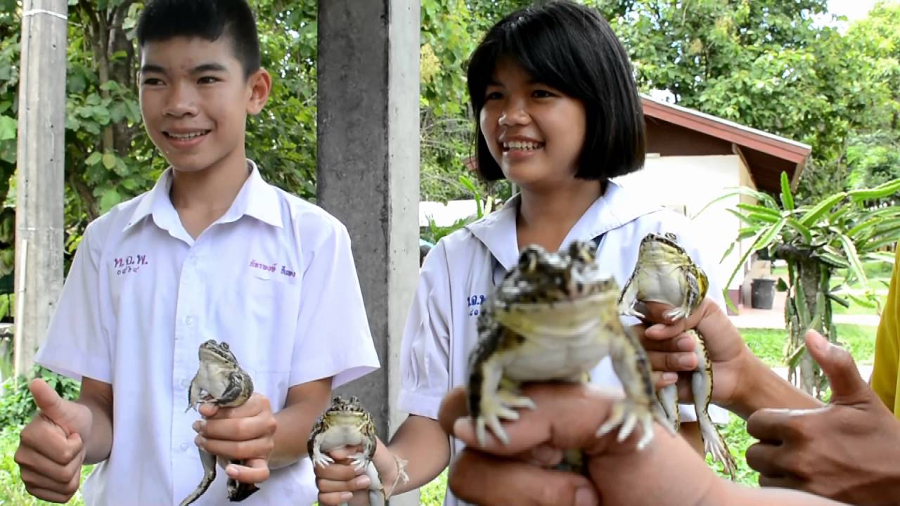 กลุ่มยุวเกษตรกรโรงเรียนท่านผู้หญิงจันทิมาพึ่งบารมี จ สกลนคร