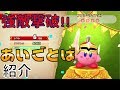 【あいことば紹介】【強敵撃破】第3話 スーパーカービィハンターズ
