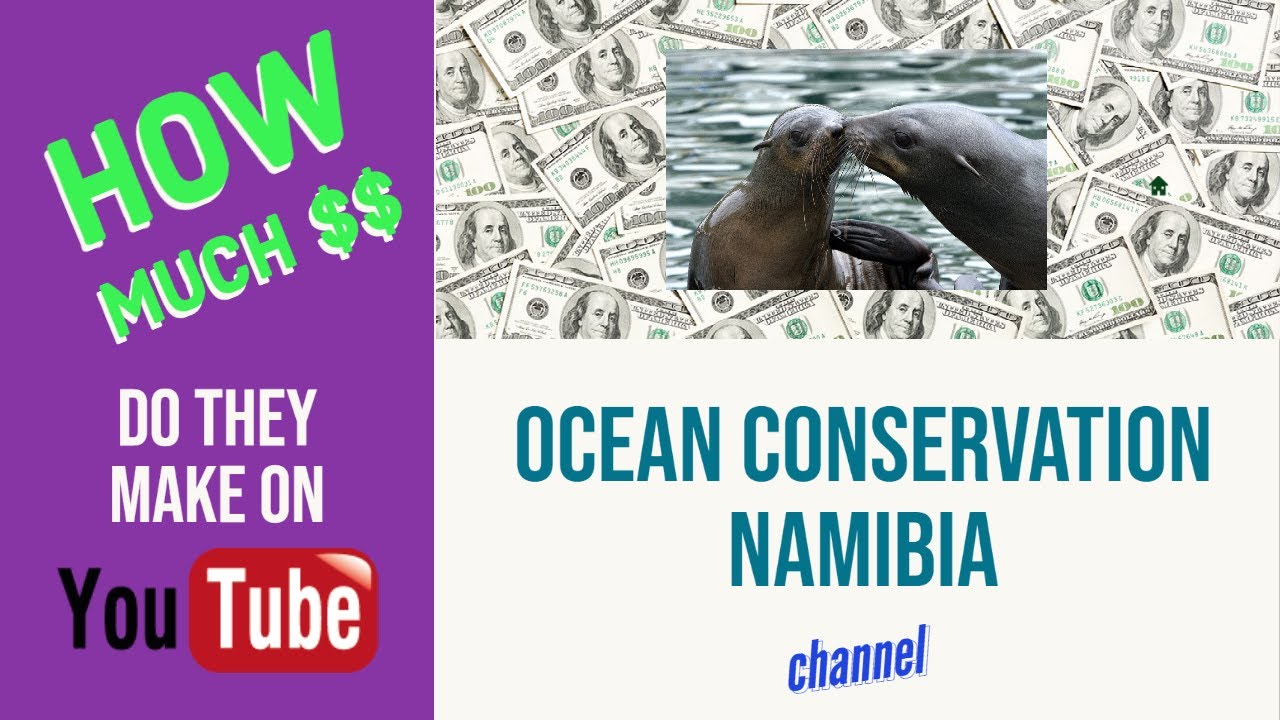 HOW MUCH does Ocean Conservation Namibia make on YT? - YouTube