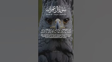 سوره آل عمران آیه 98 99 [تلاوت قرآن] #تلاوت #قرآن #قرآن #ترجمه #سوره