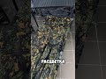 Раскладушка / обзор / купить / Макидонск