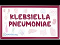 Klebsiella pneumoniae - an Osmosis Preview