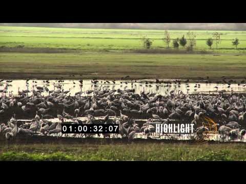 Israel stock footage: