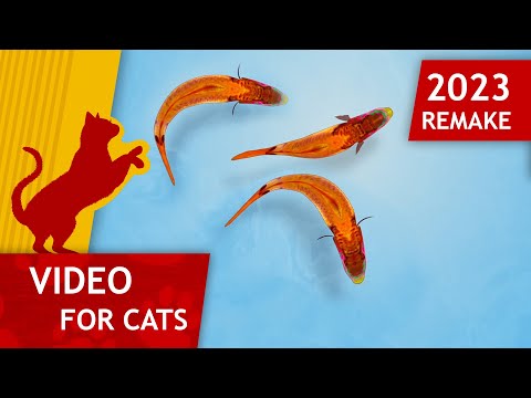 🐱Cat Games - 🐟 Catching Fish Remake 2023 (Video for Cats to watch) 4K