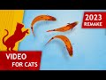 Cat games   catching fish remake 2023 for cats to watch 4k