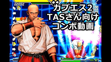 CAPCOM VS SNK2 カプエス2　TASさん向けコンボ動画 ギース