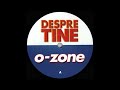 Miniature de la vidéo de la chanson Despre Tine (Beach Extended Version)