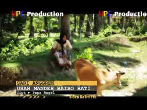 Sari Anggrek - Usah Mandeh Baibo Hati (Official Music Video)