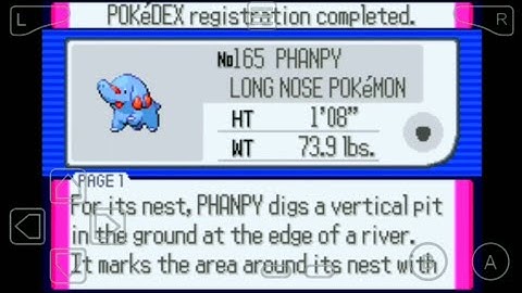 165: Where to Find Phanpy in Pokemon Ruby!