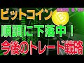 【ビットコイン】仮想通貨　順調に下落中！今後のトレード戦略は？？〈今後の値動きを初心者にもわかりやすくチャート分析〉２０２０．８．２６