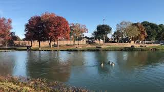 Mary Jo Peckham Park