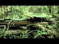 Battle of Long Tan - Peter Harvey 60 Minutes - Vietnam War - Forgotten Heroes