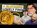 Archaeological Discoveries and Analysis