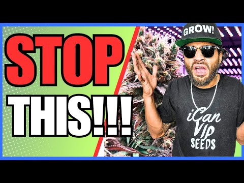 The Shocking Truth About PH-ing in Organic Soil! 😳