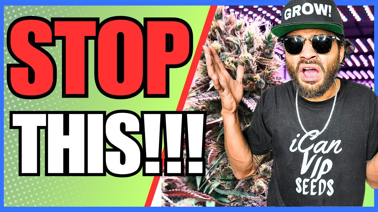The Shocking Truth About PH-ing in Organic Soil! 😳