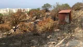 Trimithousa fire Paphos
