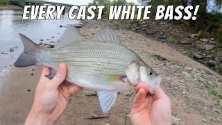 The Best Spillway White Bass Fishing I Have Ever Seen (Spillway Fishing For White Bass and Wipers)