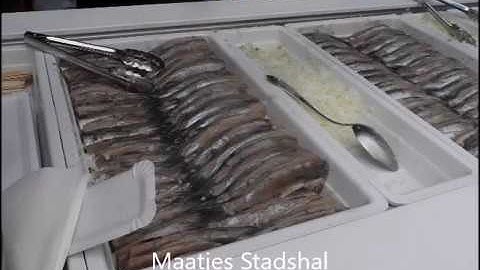 Video magazine   persblog be 